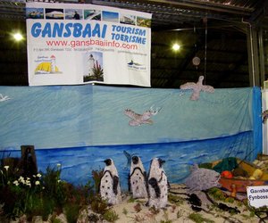 Gansbaai Fynbosspan in Bredasdorp